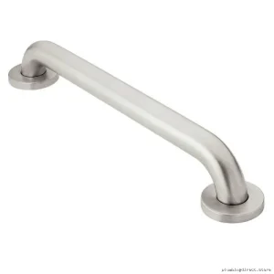 Moen Stainless Steel Bathroom Safety Grab Bar R8924