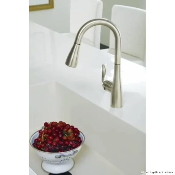 Kitchen Sink Pull-Out Sprayer & Matt Blk Arboor Bartop Tap MOEN - Image 2