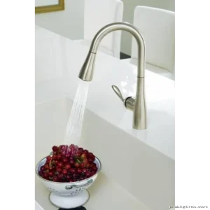 Kitchen Sink Pull-Out Sprayer & Matt Blk Arboor Bartop Tap MOEN