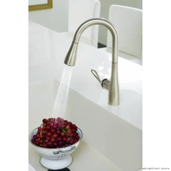 Kitchen Sink Pull-Out Sprayer & Matt Blk Arboor Bartop Tap MOEN