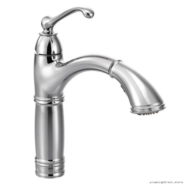 Moen Brantford Kitchen Faucet with Pull-Out Spray Chrome 7295C