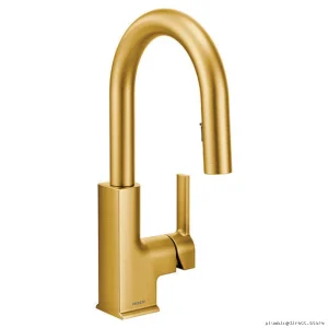 Moen Brushed Gold Kitchen Bar Faucet with Pull-Down Spray