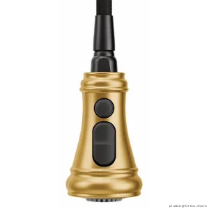 Moen Brushed Gold Pull-Down Kitchen Faucet with Pre Rinse - S73104BG