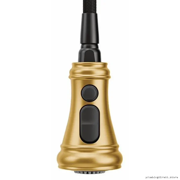 Moen Brushed Gold Pull-Down Kitchen Faucet with Pre Rinse - S73104BG