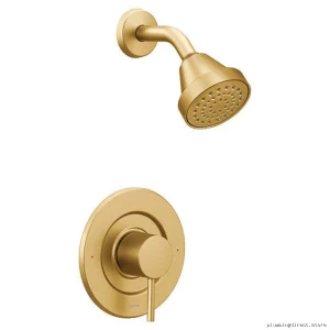 Moen Brushed Gold Shower Trim with Posi-Temp Temperature Control - T2192BG