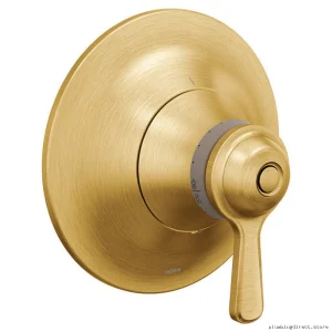 Moen Colinet TS44401BG Brushed Gold Thermostatic Valve Trim - Precise Temp Control