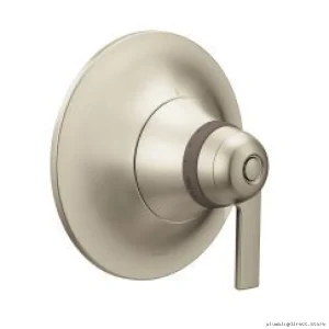 Moen Brushed Nickel ExactTemp Valve Trim