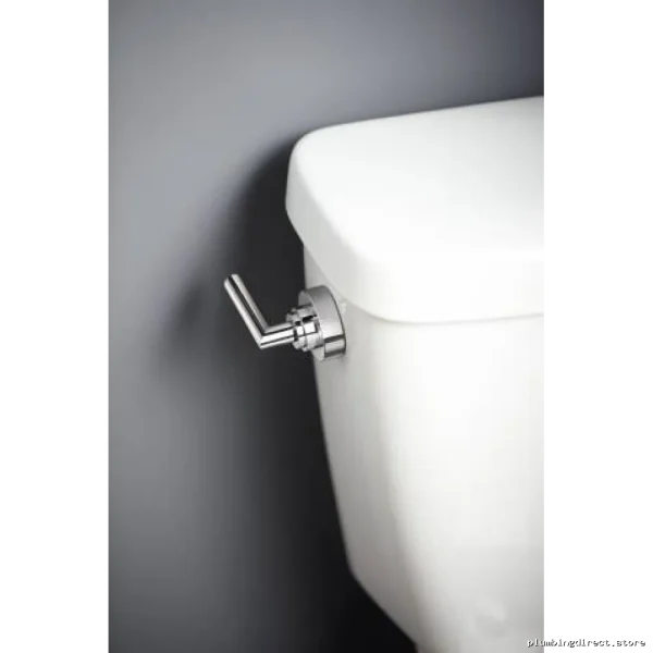 Moen Chrome Arris Tank Lever - Model YB0801CH Bathroom Hardware - Image 2