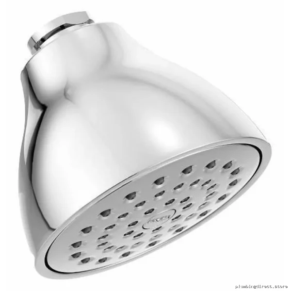 Moen Chrome Finish Single-Function Shower Head