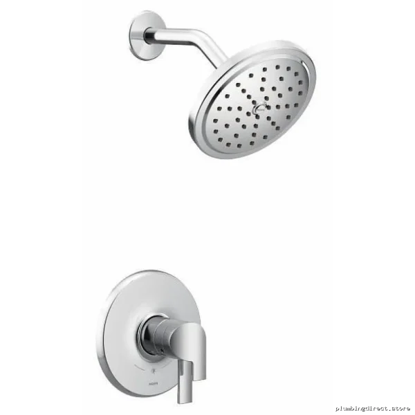 Moen Doux Water-Saving Chrome Shower Trim
