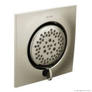 Moen Polished Nickel Dual Function Shower Spray