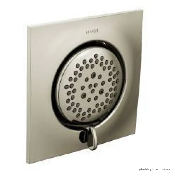 Moen Polished Nickel Dual Function Shower Spray