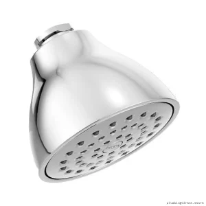 Eco-Friendly Single-Function Chrome Shower Head by Moen