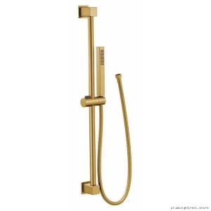 Moen Eco-Friendly Hand Shower - Brushed Gold Finish, Eco-Performance Single Spray S3880EPBG