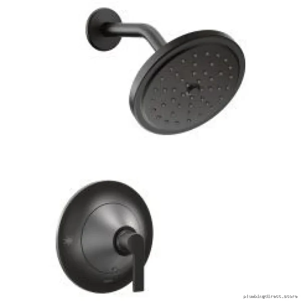 Moen Eco-Friendly Posi-Temp Shower Trim - Matte Black TS2202EPBL