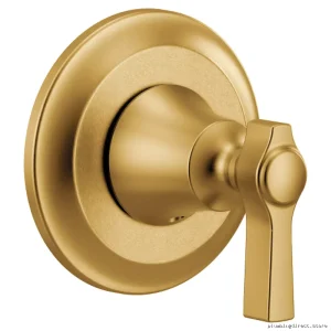 Moen Flara M-Core Brushed Gold Transfer Valve Trim UTS4911BG