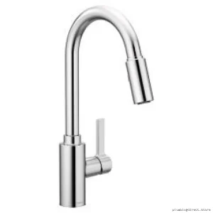 Moen Genta Chrome Kitchen Faucet with Pull-Down Spray Head