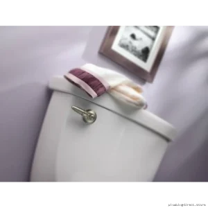 Moen Kingsley Toilet Tank Lever in Brushed Nickel (YB5401BN) - Durable & Modern Design