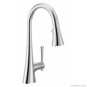 Moen Kurv 3-in-1 Filtration Kitchen Faucet with Pull-Down Spray - Chrome F9126