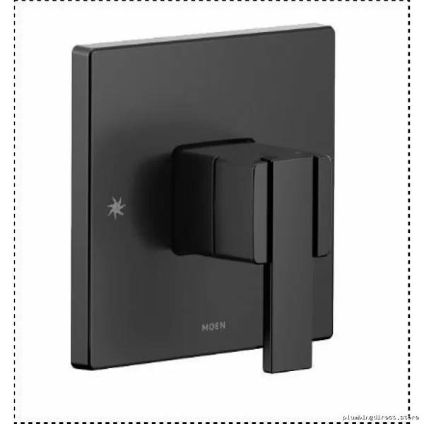 Modern Moen Matte Black 90° Bathroom Valve Trim
