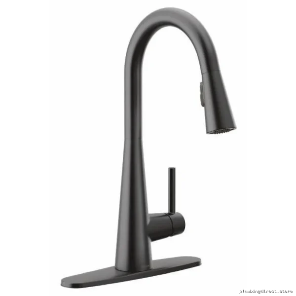 Moen Matte Black Kitchen Faucet with Pull-Down Spray