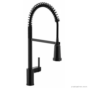 Moen Kitchen Faucet with Filtration & Pull-Down Spray in Matte Black