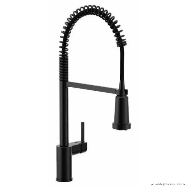 Moen Kitchen Faucet with Filtration & Pull-Down Spray in Matte Black