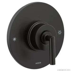 Moen Matte Black Posi-Temp Shower Valve Trim TS22001BL by Arris