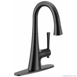 Moen Matte Black Pull-Down Kitchen Faucet with Sprayer 6126BL
