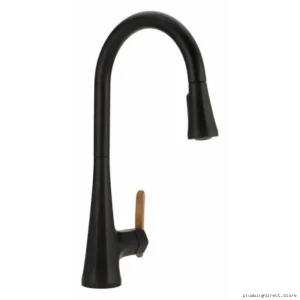Moen Matte Black Pull-Down Kitchen Faucet with 3-Stage Filtration FS7235BL
