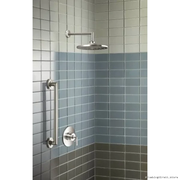 Moen x ArrisNewBrushGrabBar-BathroomSafetyNonSlipBrushNickelYG - Image 2