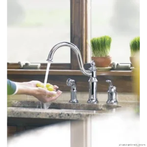Moen S711ORB Oil Rubbed Bronze Pull-Out Spray Kitchen Faucet by Waterhill