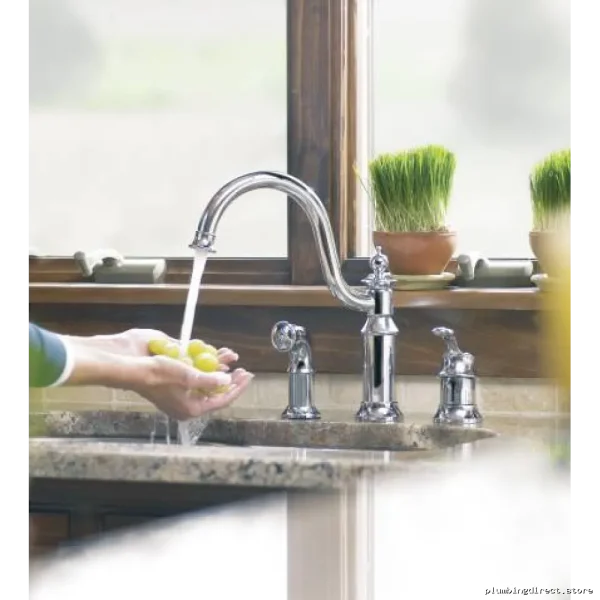Moen S711ORB Oil Rubbed Bronze Pull-Out Spray Kitchen Faucet by Waterhill