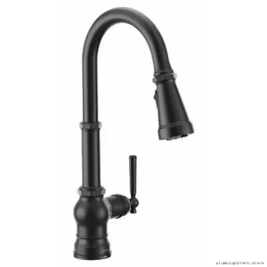 Paterson 3-in-1 Filtration Kitchen Faucet, Pull-Down Spray, Matte Black - FS72003BL Moen