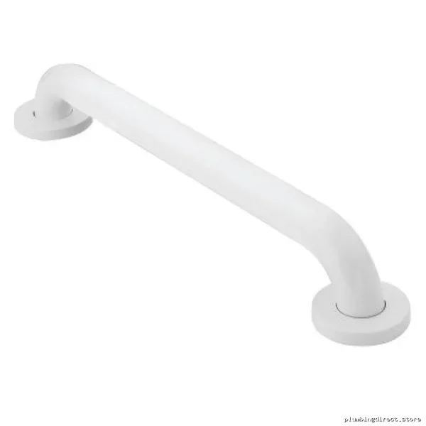 Bathroom Safety Stainless Steel Grab Bar - Moen Glacier R8712W