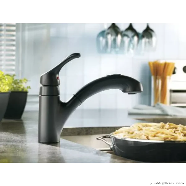 Moen Renzo Kitchen Faucet with Pull-Out Spray & Matte Black Finish - CA87316BL
