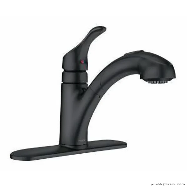 Moen Renzo Kitchen Faucet with Pull-Out Spray & Matte Black Finish - CA87316BL - Image 2