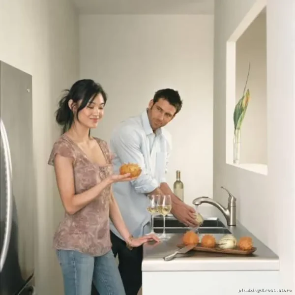 Moen Renzo Kitchen Faucet Pull-Out Spray Stain Resistant Stainless Steel