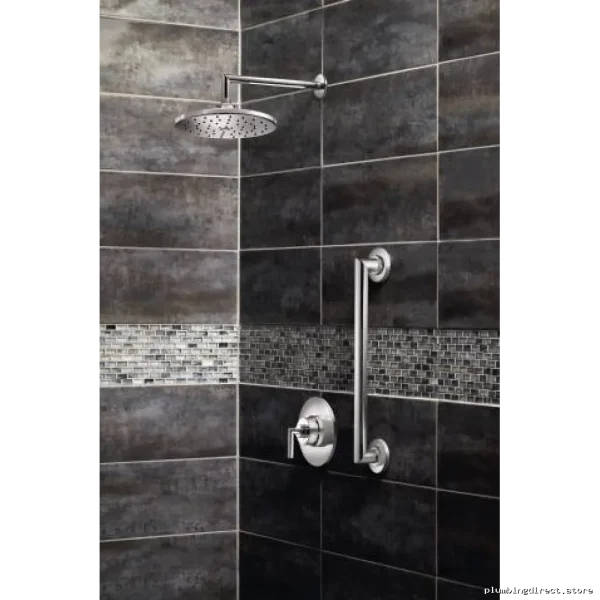 Moen S110 Chrome Shower Arm Replacement for Bathroom Faucet