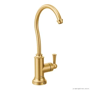 Moen S5510BG Brushed Gold Beverage Faucet for Traditional Sips