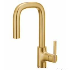 Moen S64001BG Tenon Bar Faucet with Pulldown Sprayer - Brushed Gold Finish