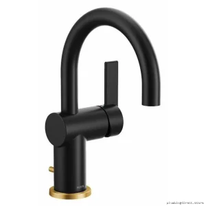 Moen Single-Hole Bathroom Faucet - Matte Black 6221BL
