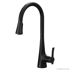 Moen Smart Kitchen Faucet With Voice Control & Pull-Down Sprayer-MatteBlack