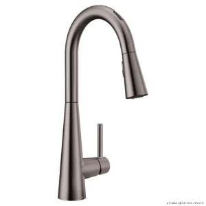 Moen Smart Voice-Activated Kitchen Faucet with Pulldown Spray - Black Stainless 7864EVBLS