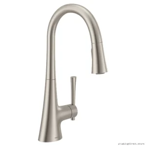 Moen Stainless Steel Pull Down Kitchen Faucet with Spot Resist Spray