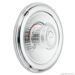 Moen T170 Chrome Shower Trim Kit for Moentrol Valves