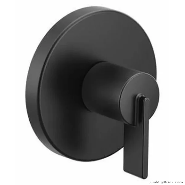 Moen UT4620BL M-Core Matte Black Transfer Valve Trim – Modern Durable Design