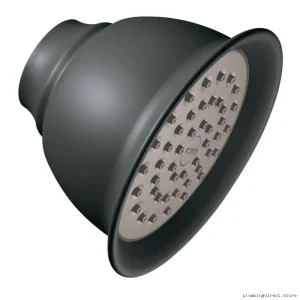 Moen Wrought Iron Shower Head 4-3/8 Inch Single Function 6302WR