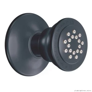 Moen Wrought Iron Single Function Shower Spray Model A50I