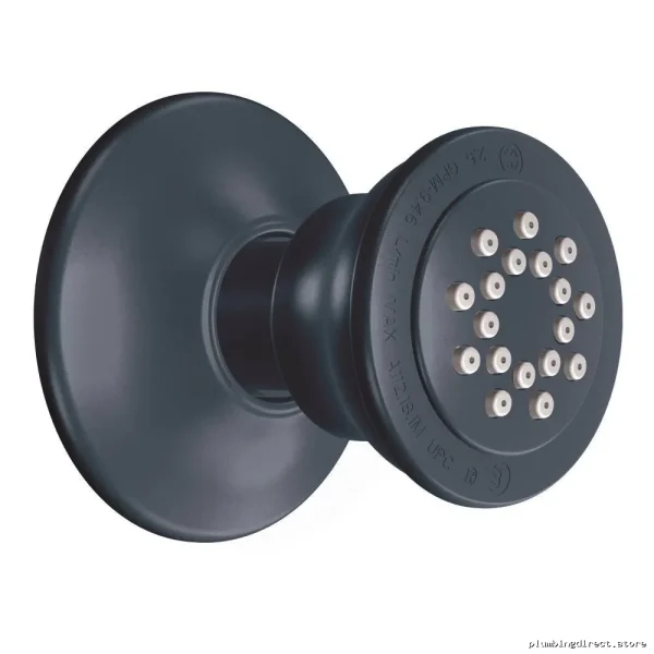 Moen Wrought Iron Single Function Shower Spray Model A50I